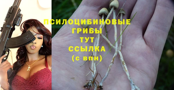 mdpv Верхний Тагил