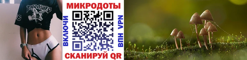 маркетплейс официальный сайт  Нахабино  Псилоцибиновые грибы Psilocybe 